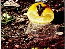 FRANCO BATTIATO : Pollution LP - Originale 1973 - Rarissimo 
