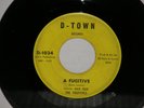 FUGITIVES A FUGITIVE D-TOWN orig US GARAGE ROCK  PSYCH 7