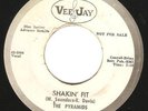 R&B Gritty Detroit Soul 45 THE PYRAMIDS 