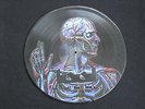 Tool - lateralus ( Promo ) Picture Vinyl LP