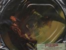 Stevie Ray Vaughan Couldn't Stand The Weather picture disc LP nm ltd. edition