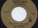The Rogues Audition Train Kept A Rolling Rare Private Local Garage 45 HEAR IT