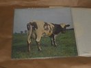 PINK FLOYD Atom heart mother LP UK Press HARVEST label 70 Prog PERFETTO