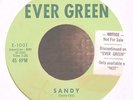 Teen Rock 45-Larry Hall-Sandy-Ever Green 1001-First Label-NICE-RARE