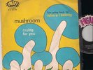 MUSHROOM WHERE I BELONG + CRYING FOR YOU, DUTCH HARD PSYCHO FUZZ, ITALIAN ISSUE