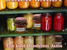 STACK WADDY - THE LOST DANDELION JAMS  VINYL LP ROCK INDEPENDENT NEW