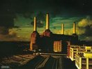 PINK FLOYD - ANIMALS blue swirl vinyl LP