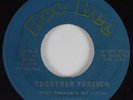 Crossover Soul/Deep Soul 45 RAY PETTIS Together Forever DEE DEE VG+/VG++ HEAR