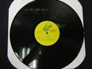 AFI: ESSENTIAL RETROSPECTIVE: LP Test Press: NITRO RECORDS: No Reserve KBD