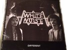 WHITE NOISE Different SEALED  Private 1981 Arizona Female HR Metal LP