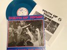 Youth of Today - Break Down the Walls Orig LP on Wishing Well - BLUE vinyl