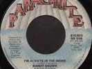 Rare USA 70's NORTHERN SOUL 45 - RANDY BROWN (Parachute) IN THE MOOD  *Listen*