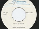 PRIVATE 1960s Garage/Fuzz Acetate 45 - DANNY LONG BAND 