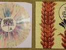 The Story So Far 