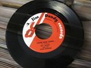 BILL HANEY Craw Dad Song JIM DANDY Orig 45 Hillbilly Rockabilly Bopper RARE