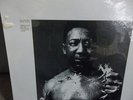 RARE MUDDY WATERS 