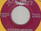 ROY PANTON - ENDLESS MEMORY - EASTERN ORGAN - RARE ??