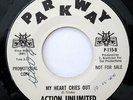 ACTION UNLIMITED (My Heart Cries Out) '66 Pkwy GARAGE PSYCH Boettcher  WLP  HEAR
