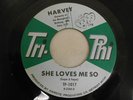 HARVEY SHE LOVES ME SO ANY WAY YOU WANTA 45 TRI-PHI VG++