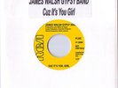 Modern Soul JAMES WALSH GYPSY BAND - CUZ IT'S YOU, GIRL  7