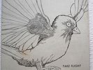TAKE FLIGHT-SEALED Lp-Private Press 1975 PSYCH Female Acid FOLK LATITUDES POKORA