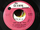 RARE NORTHERN SOUL ....THE MIRACLE WALKERS ( SCAMM)