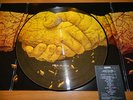 PINK FLOYD IVOR WYNNE PICTURE DISC LP  ORIGINAL PRESS  VERY RARE