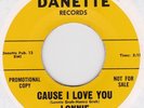 RARE TEEN GROUP Lonnie and his Legends on Danette VG+(+) HEAR