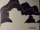 SONORA LP rare private folk rock  POOR RICHARD RELATED acid psych