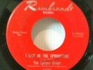 The Lemon Drops 1967 I Live In The Springtime 45 Rare Garage Psych Very Good+NR
