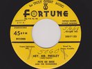 '58 Twin Spin FORTUNE Rockers PETE DE BREE Hey Mr Presley/Long Tall You HEAR NOW
