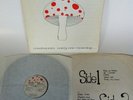 MUSHROOM - EARLY ONE MORNING HALPX ORIGINAL 1973  PSYCH FOLK LP RARITY