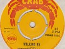 VINCENT GORDON - VICEROYS - WALKING BY   PROMISES, PROMISES - CRAB 16 - 1969
