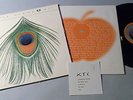XTC 