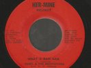 ANSEL & THE MEDITATIONS - WHAT A BAM BAM / PART 2      *HER-MINE*     7