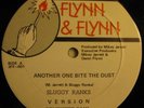 Sluggy Ranks - Another One bites the dust   Flynn & Flynn   Digi Roots 12