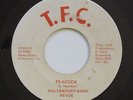 Funk/Sweet Soul 45 - 25th Century Band 