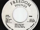 Sylvan White - One Destiny - ROOTS MURDER