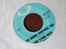 STING RAYS I'm gonna surprise you Lady be good Mod Garage Northern soul 45