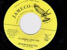 Edward Hamilton I'm Gonna Love You NORTHERN SOUL MINT- On the rarer yellow label