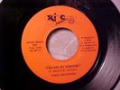 FINAL DECISIONS You Are My Sunshine RARE 70's SWEET MODERN NORTHERN SOUL 45 Hear