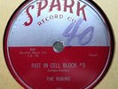 THE ROBINS (Riot In Cell Block #9 / Wrap It Up)   DOO-WOP/R&B 78   Spark #103