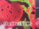 The Breeders Last Splash Ltd LP with free 45