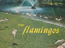 THE FLAMINGOS  CHECKER 14334 BLACK LABEL '59 US FIRST PRESSING CLEAN