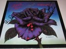THIN LIZZY Black Rose - VINYL LP Gary Moore Scott Gorham Downey Autograph SIGNED