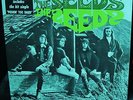 NICE M- 1966 Stereo 1st THE SEEDS   PUSHIN TOO HARD FUZZ GARAGE PUNK PSYCH SNARL