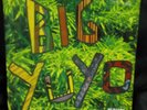 LOS PERICOS - Big Yuyo (Mega rare 12