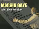 60S MOD SOUL TAMLA MOTOWN MARVIN GAYE AIN'T THAT PECULIAR PICTURE SLEEVE