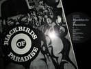 Blackbirds of Paradise(JG-Records D-586 Iserlohn JG-07)LP mit Autogrammen (1970)