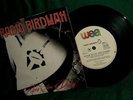Radio Birdman 45 Aloha Steve & Danno NEAR MINT classic AUSSIE PUNK p/s Scarce 7